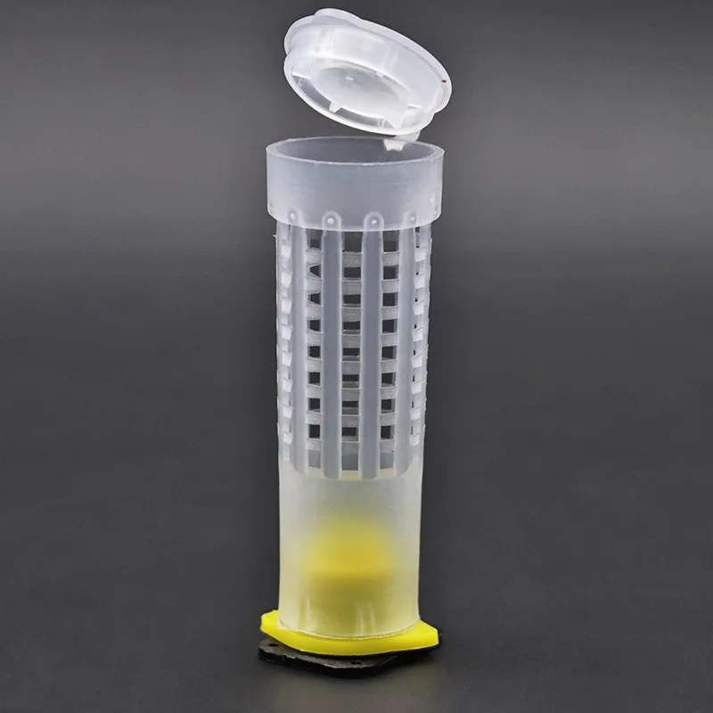 Набор клетки для вывода пчел комплект из 1 ловли пчеловодства King Queen|Инструменты