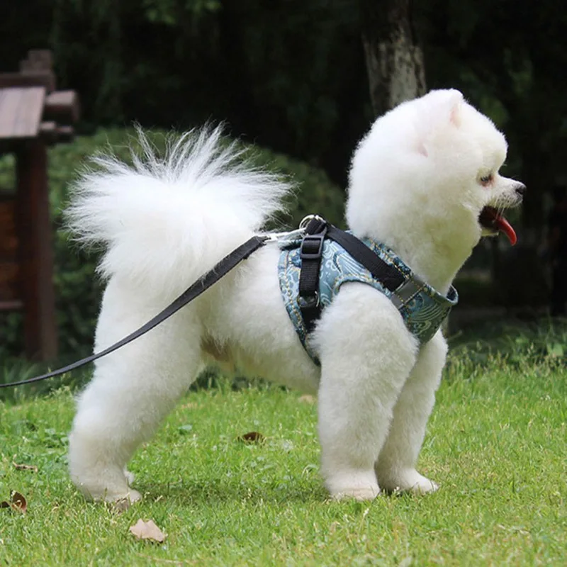 

Шлейка и поводок для собак и кошек, Модный комплект из сетчатой ткани с принтом, для прогулок на открытом воздухе