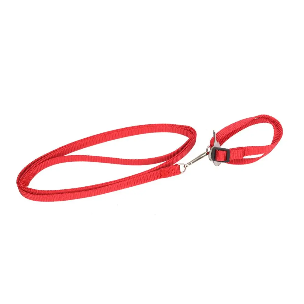 Поводок для рептилий Lizard Iguana 5 цветов оптический поводок небольшого животного