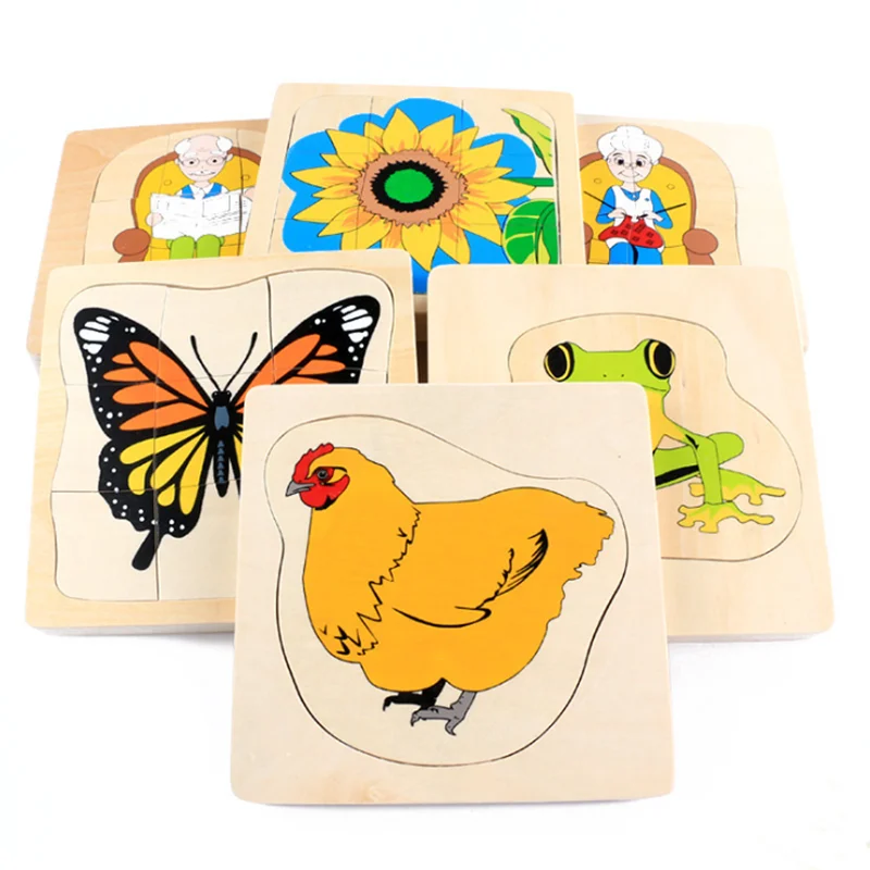 Учебное пособие по методике Монтессори для малышей жизненный цикл животных