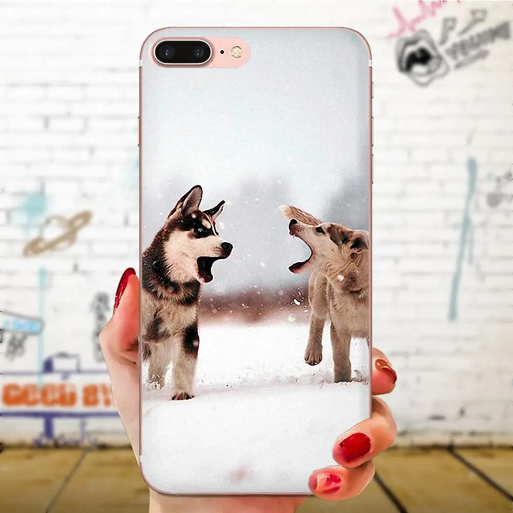 Мягкий чехол из ТПУ для Xiaomi Redmi Mi 4 7A 9T K20 CC9 CC9e Note 7 9 Y3 SE Pro Prime Go Play Puppy Alaskan