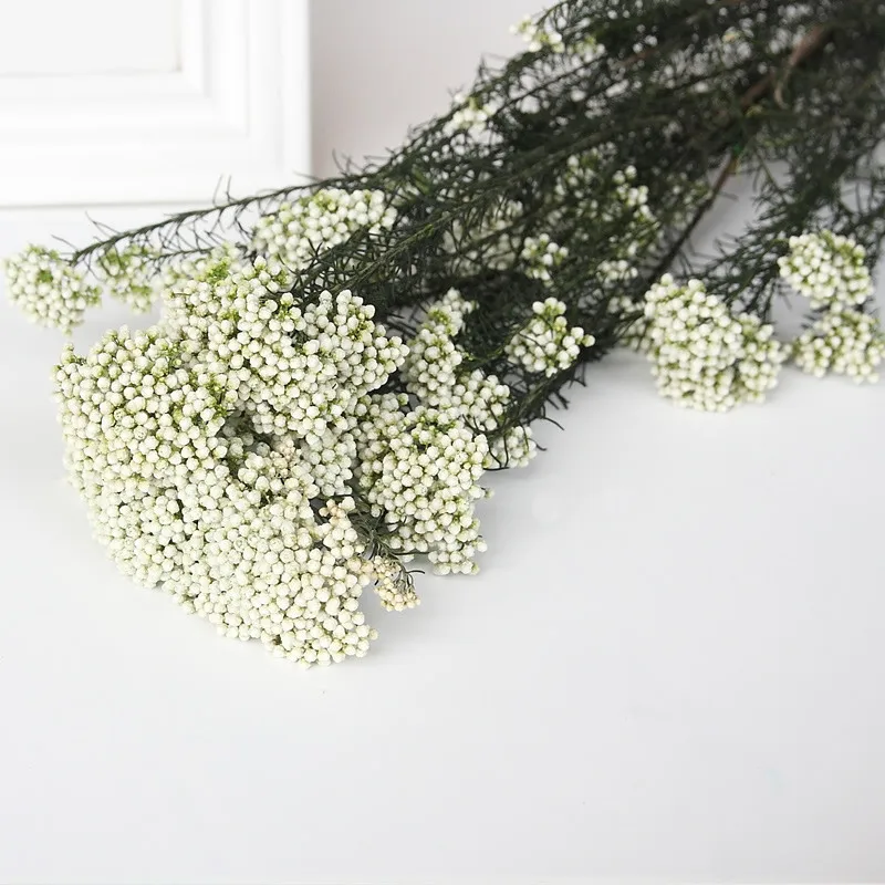 

Натуральные сухие цветы ротанг для декора