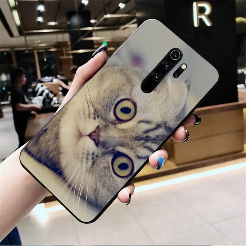 

PENGHUWAN Scottish fold cat Luxury Unique Phone Cover for Redmi Note 9 8 8T 8A 7 6 6A Go Pro Max Redmi 9 K20