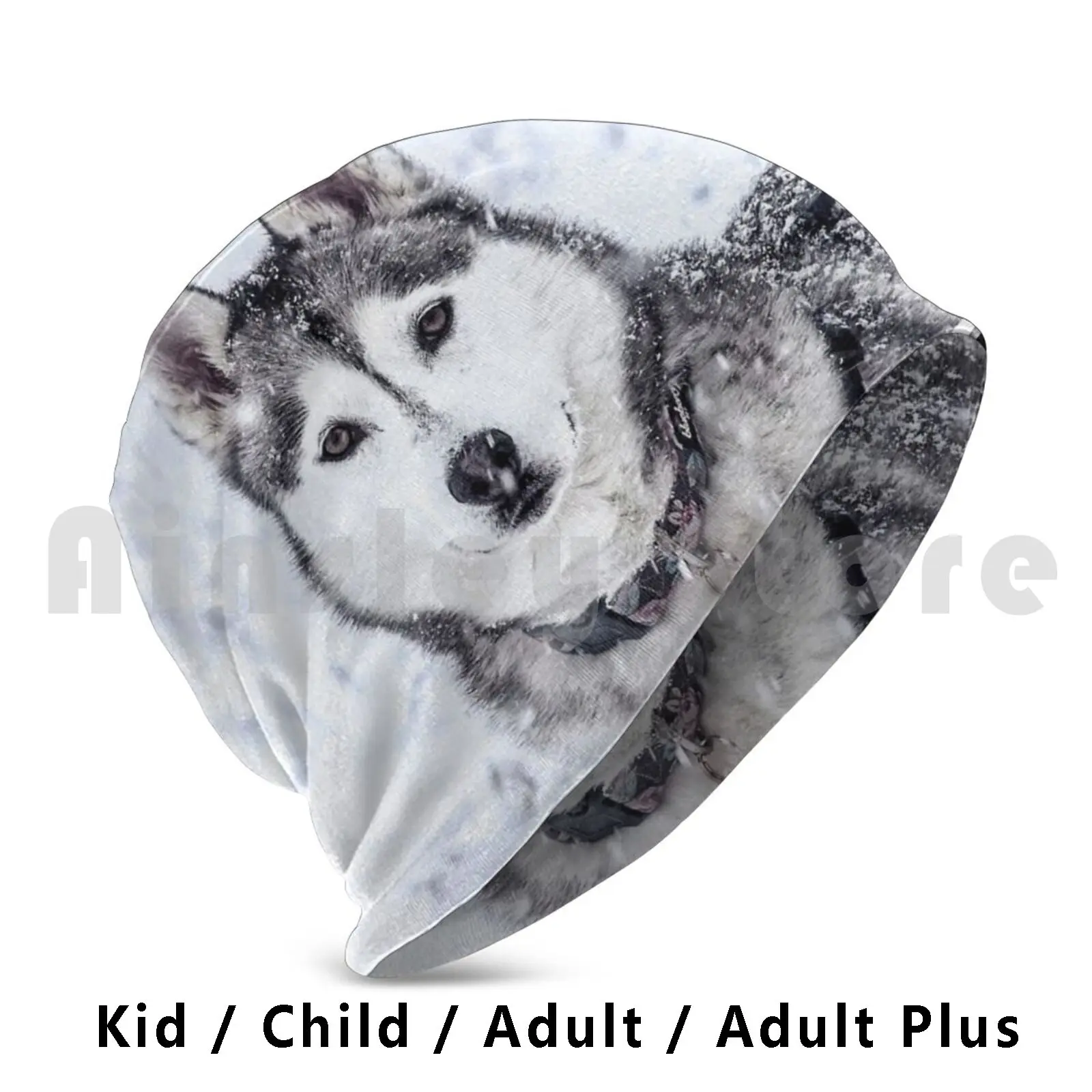 Женская шляпа 1113 Akita Dog Щенки собак Хаски маламут сибирская Милая японская