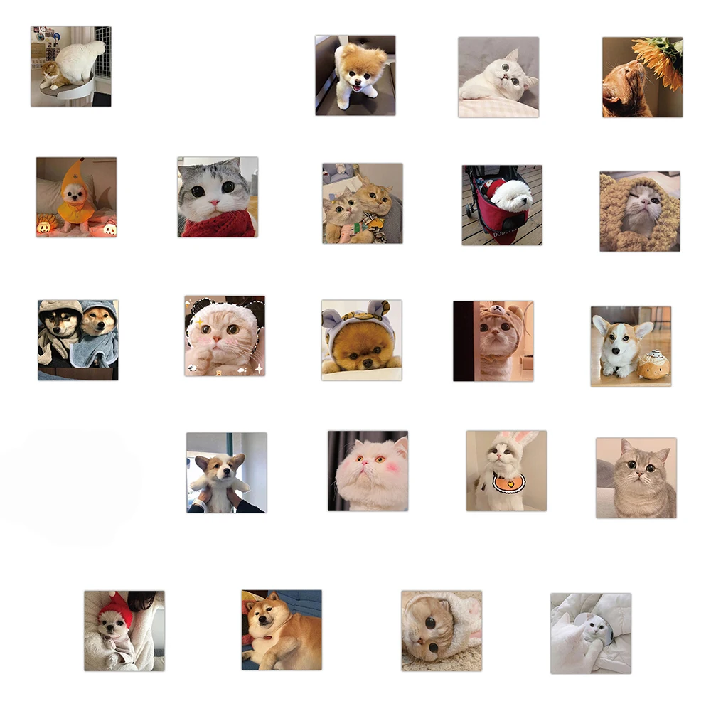 103048pcs cute cat dog expression meme stickers laptop guitar luggage phone waterproof graffiti sticker decal kid classic toys free global shipping