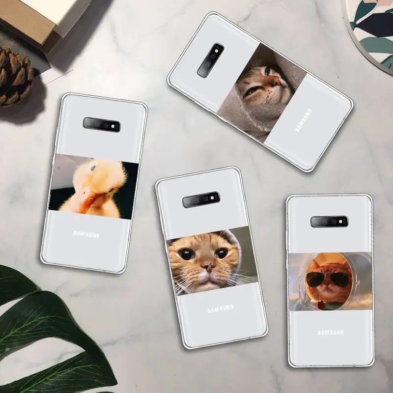

Cute animal cat dog Phone Case Transparent For Samsung Galaxy A71 A21s S8 S9 S10 plus note 20 ultra