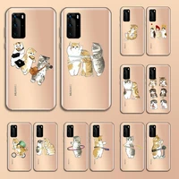 funny cat cute cartoon phone case transparent for huawei nove e 6 5 4 3 2 s i se pro lite shell cover coque