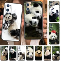 super cute panda for oneplus nord n100 n10 5g 9 8 pro 7 7pro case phone cover for oneplus 7 pro 17t 6t 5t 3t case