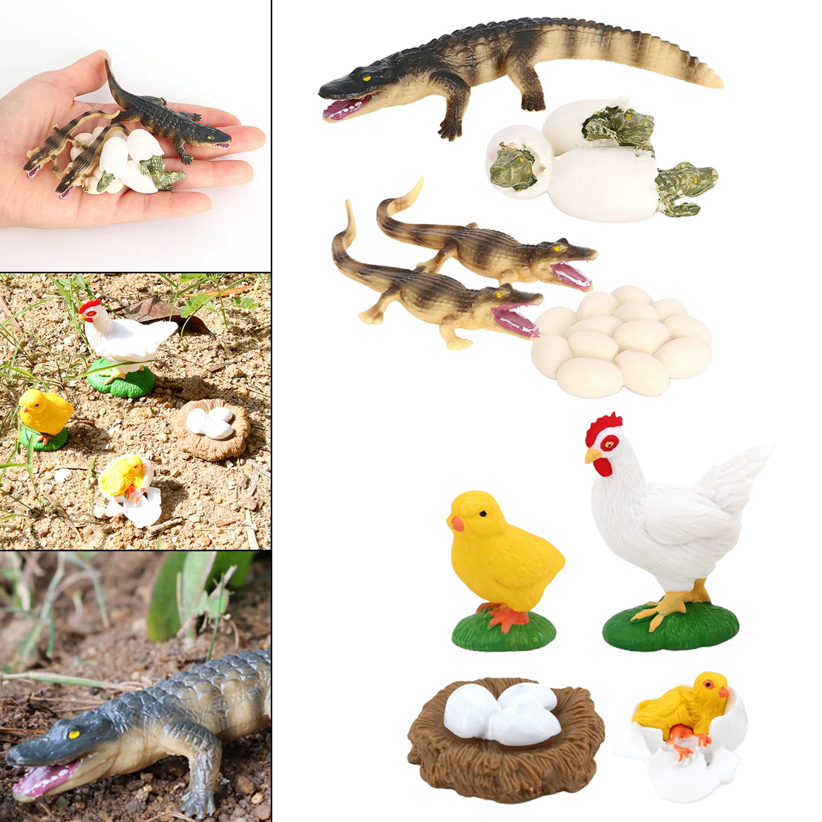 Juego de crecimiento de insectos para el ciclo de la vida, figuras de educaci&oacute;n, juego de rol, fiesta tem&aacute;tica, 2 unidades-3