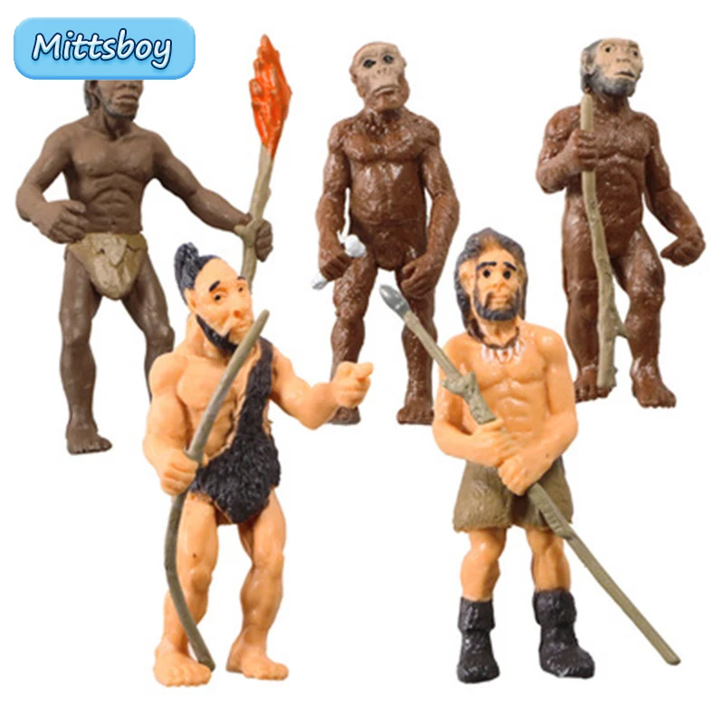

Simulation 5pcs/Set Human Evolutionary History Displays Figures Models Australopithecus To Homo sapiens Kid Educational Toy Gift