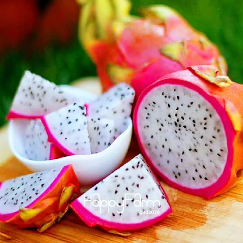 New!Sweet Pitaya Bonsai Tree Plants Dragon Fruit garden Pitaya flores Non-gmo Hylocereus Fruit, 100 plantas/Pack,#EV242E