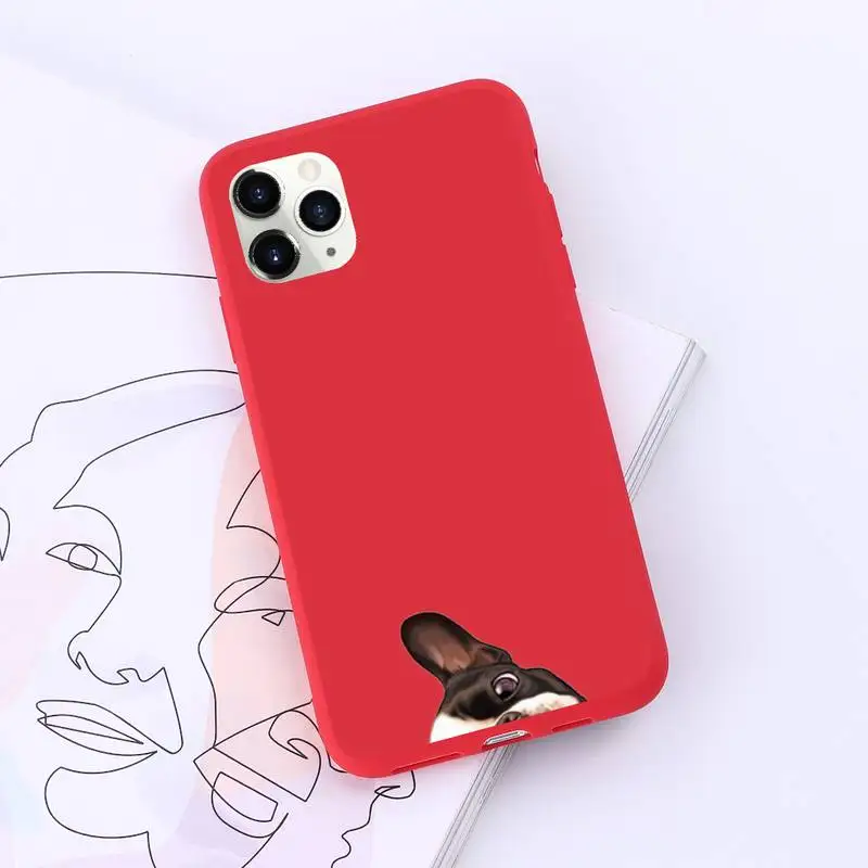 

Pug Dog French Bulldog Phone Case Candy Color for iPhone 11 12 pro XS MAX 8 7 6 6S Plus X SE 2020 XR