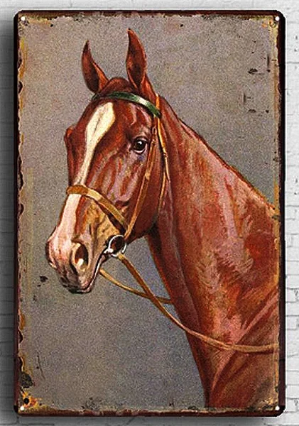 

Vintage Horse Metal Tin Sign 8x12 Inch Retro Home Kitchen Wall Decor Man Cave Tin Poster