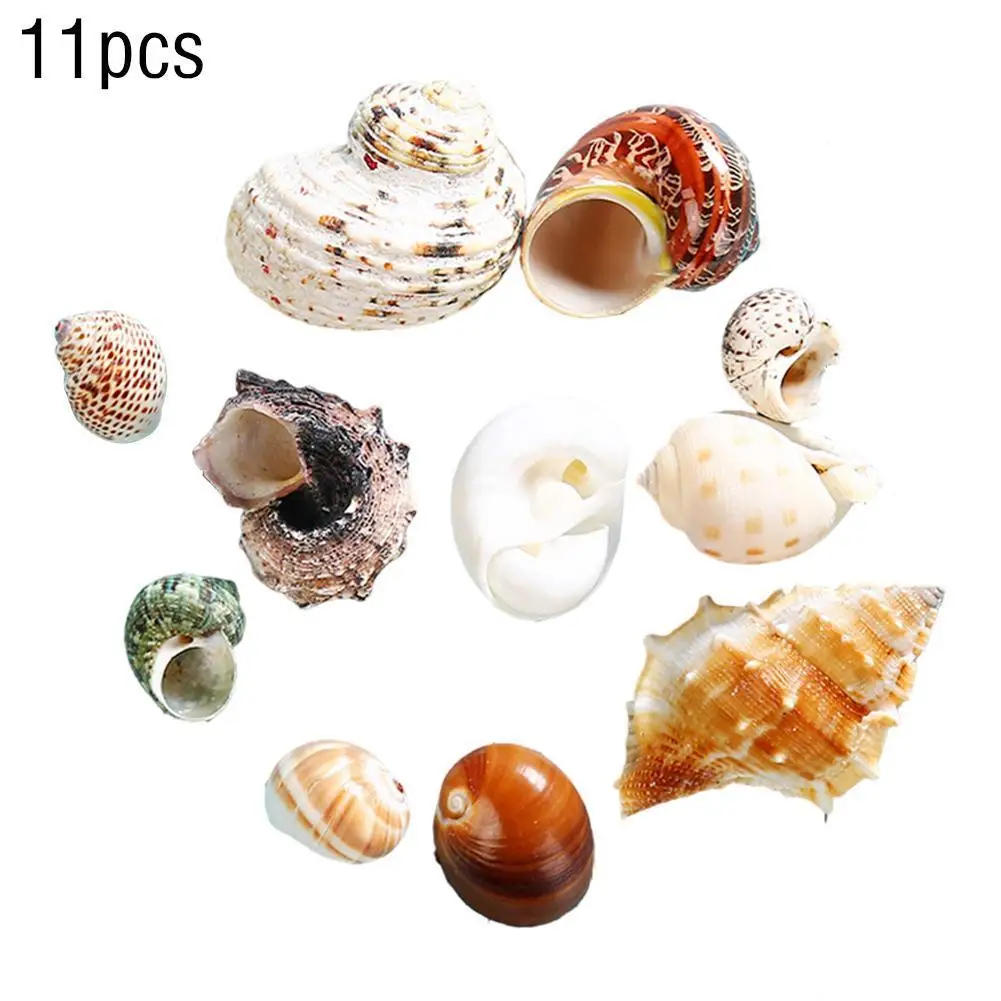 

11pcs Natural Shell Conch Hermit Crab Roll Shell Shellfish Fish Tank Home Crafts Bonsai Decoration Aquarium Ornament Mixed Style