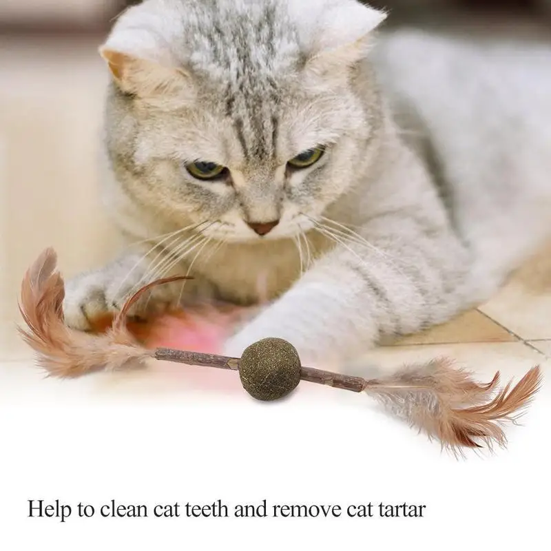 

Cats Kitten Chew Toy Catnip Matatabi Molar Toy Cat Cat Cat Clean Remove Teeth Tartar Health & Chew Dental Sticks X3L9