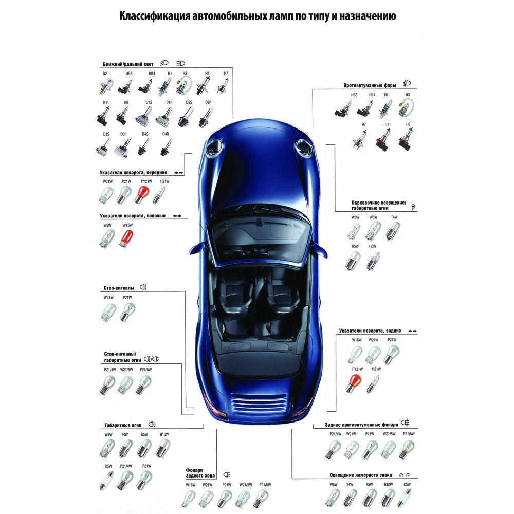 Виды автолампочек и типы цоколей