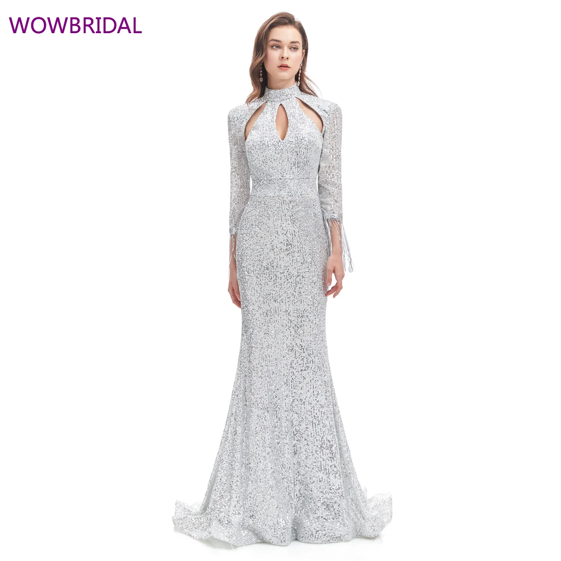 

Elegant High Neck Long Sleeve Sequined Maxi Dress Floor Length Stretch Banquet Dress Silver Hollow Tassel Evening Dress