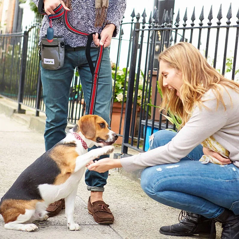 Поводок для собак с двойной ручкой поводки длиной 5 футов удобной подкладкой