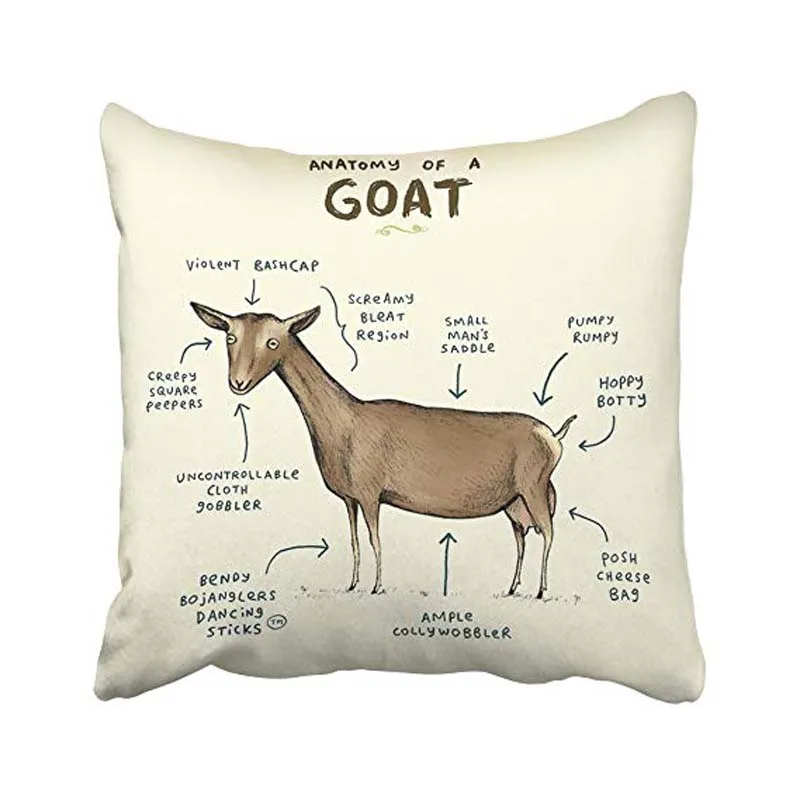 Fashion Decorative Home Style Cotton Throw Pillow Cover Cushion Case Anatomy of a Goat Size 18x18 inches(45x45cm) Two Sided