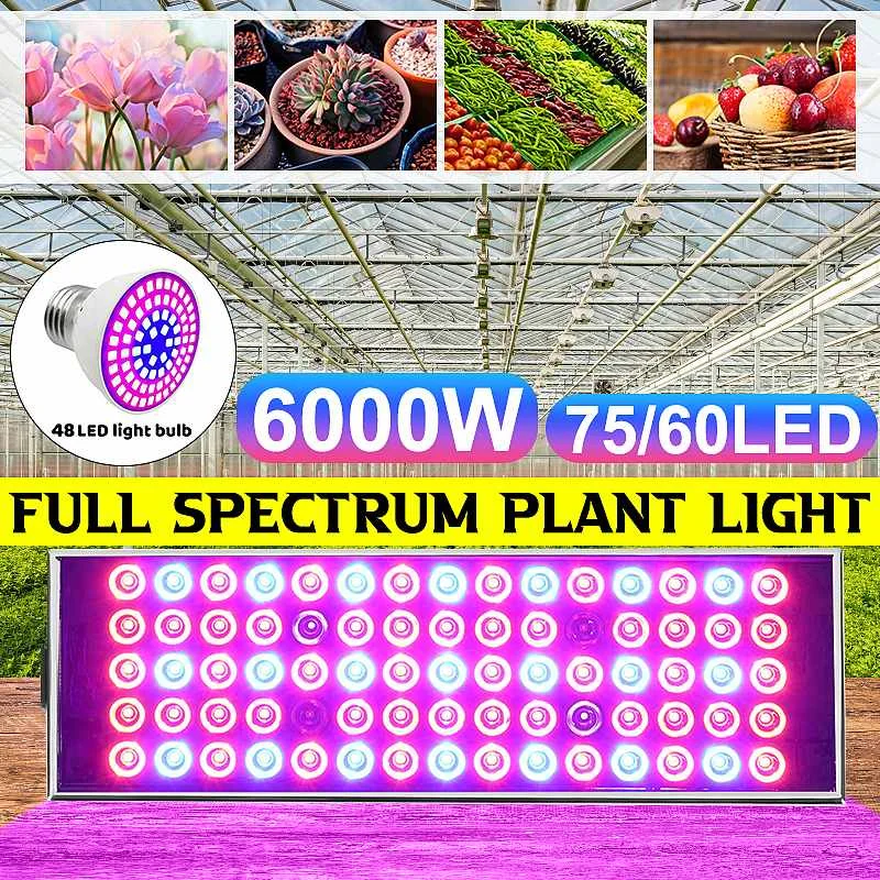 

6000W Grow Light Led Full Spectrum Lamp Led Plant Light Bulb Greenhouses Indoor Phyto Lamp Grow Tent US EU UK Plug Growth Light