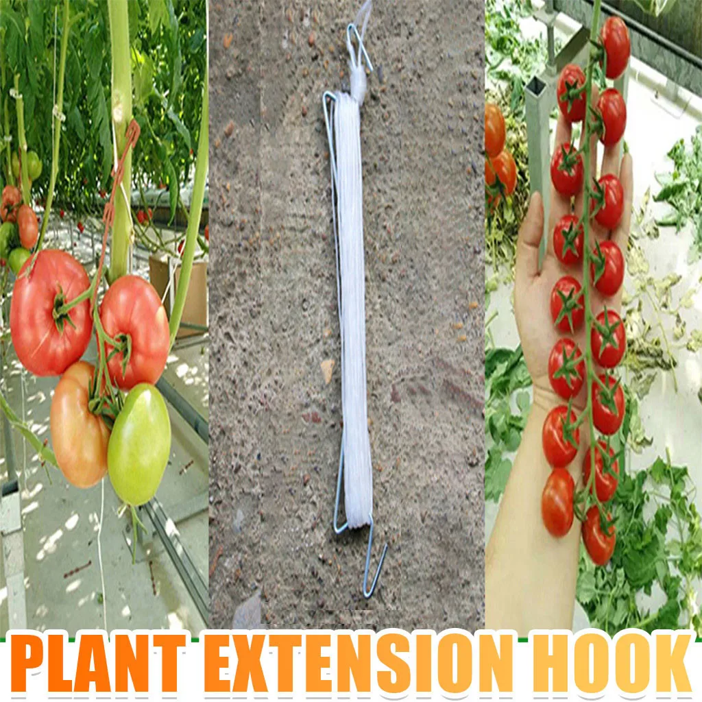 

Tomato Hook Tomato Support Clips Vegetable Support Prevent Tomatoe from Pinching