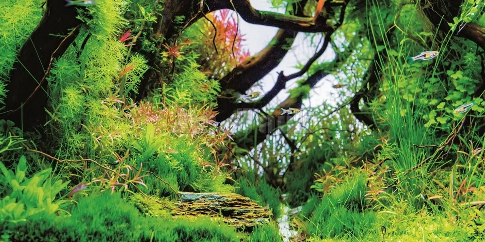 Фон для аквариума Mr.Tank 3d постер с эффектом ПВХ водные растения ветка дерева