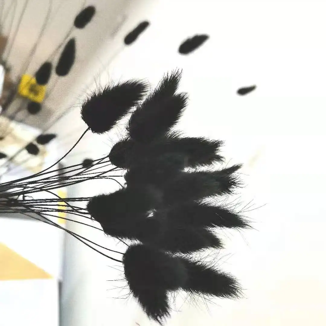 20 шт. засушенные цветы пампасной травы с черным кроликом хвост трава