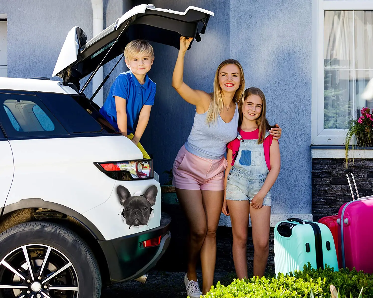 3d-наклейки Three Ratels 1068 для стен автомобилей мотоциклов туалета багажа скейтборда