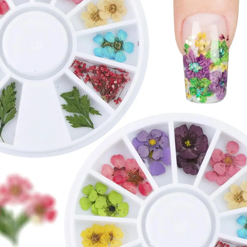

36 Pcs 3D Nail Art DIY Tips Sticker Dried Flower Acrylic Decoration Wheel Box