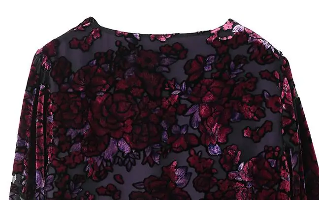 Осенняя Весенняя Повседневная Женская одежда бархатная блузка с длинным рукавом