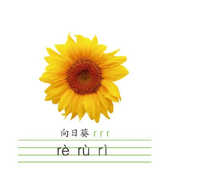 Карты Pinyin с изображениями для детей детские таблички обучения фотообои |