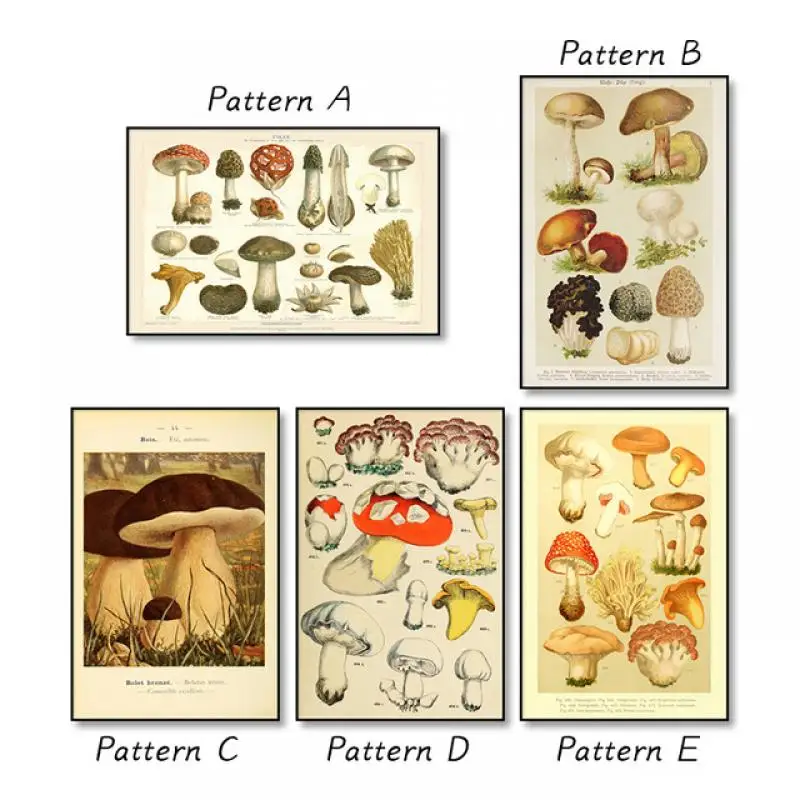 

Retro Wall Art Botanical Educational Poster Mushrooms Champignons Identification Reference Diagram Illustration Canvas Painting
