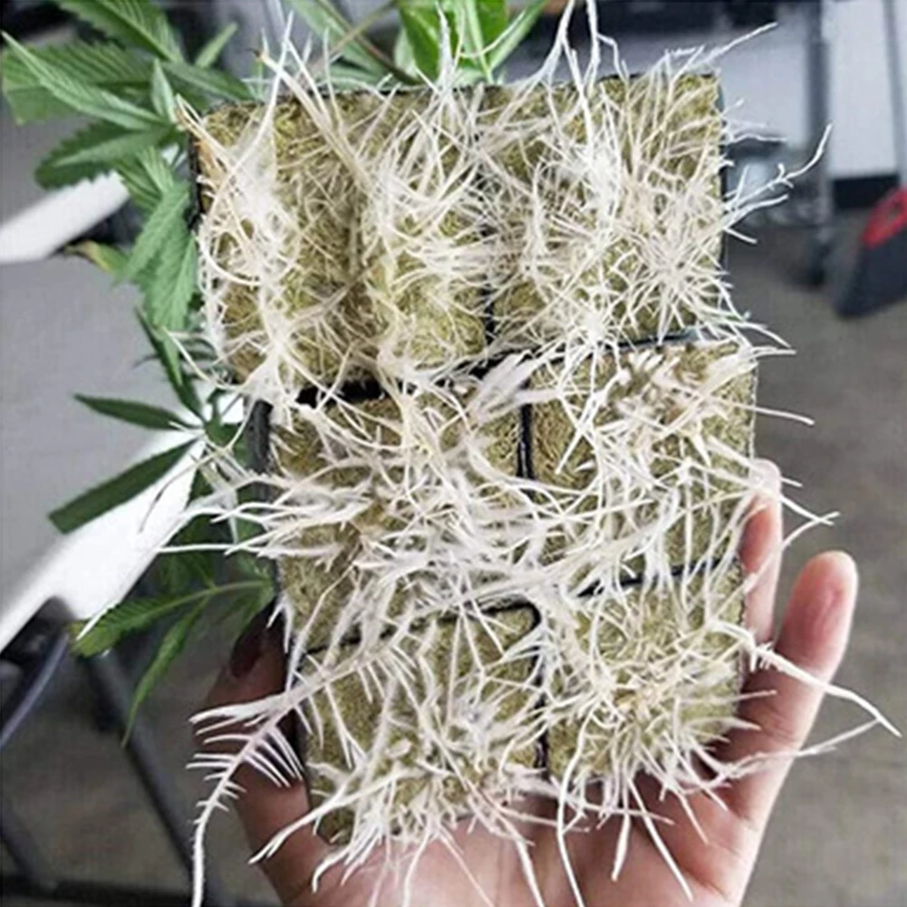 

20Pcs/set Multifunction Ventilative Practical Planting Soilless Cultivation Rockwool Cubes Hydroponic Grow Blocks Compress Base