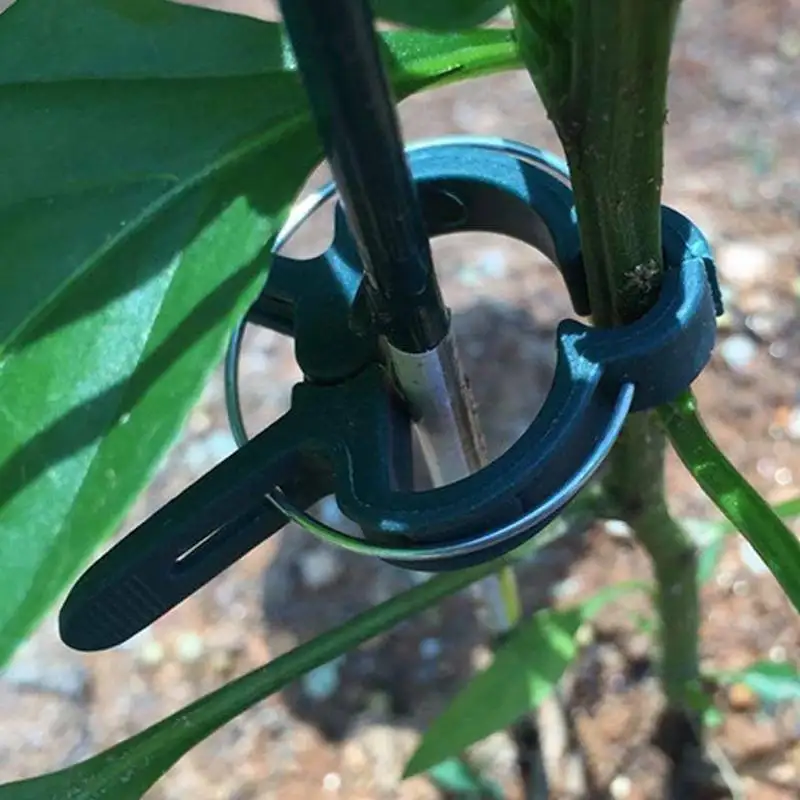 

Reusable Protecting Plant Clips Fit Patio Tomato Support Fixing Clip Spring 20pcs/Set Plant Stand Tools Clips