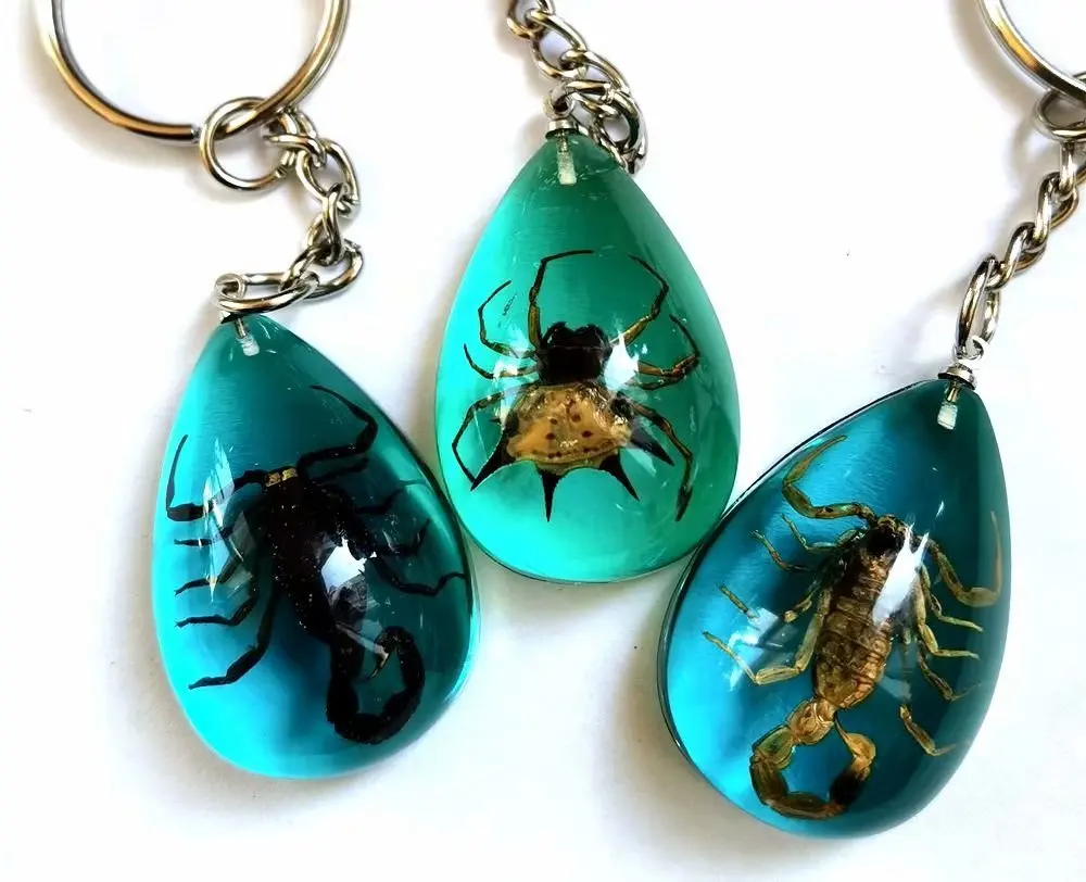 12 шт. Очаровательная реальное изображение паук-Скорпион в задней части голубой