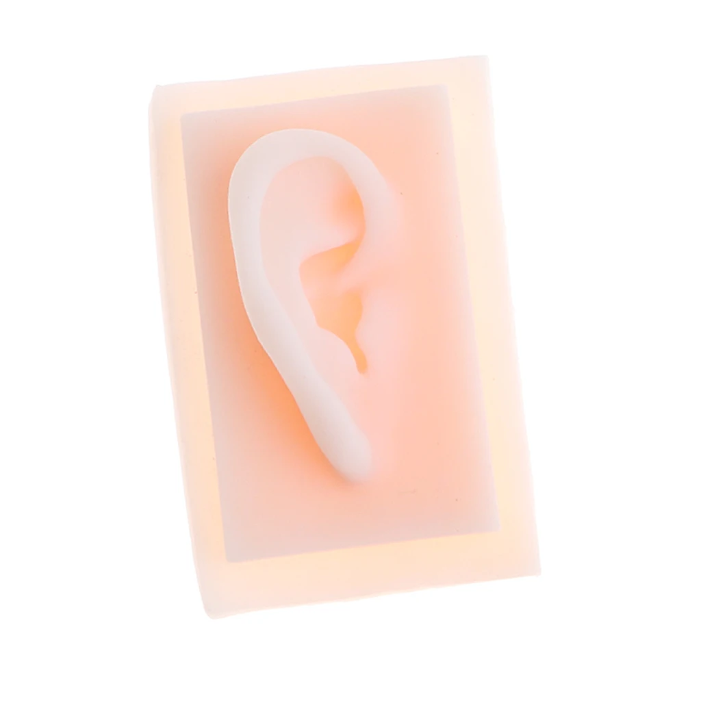 

Soft 1:1 Human Right Ear Acupuncture for Learning Tools Study Kits