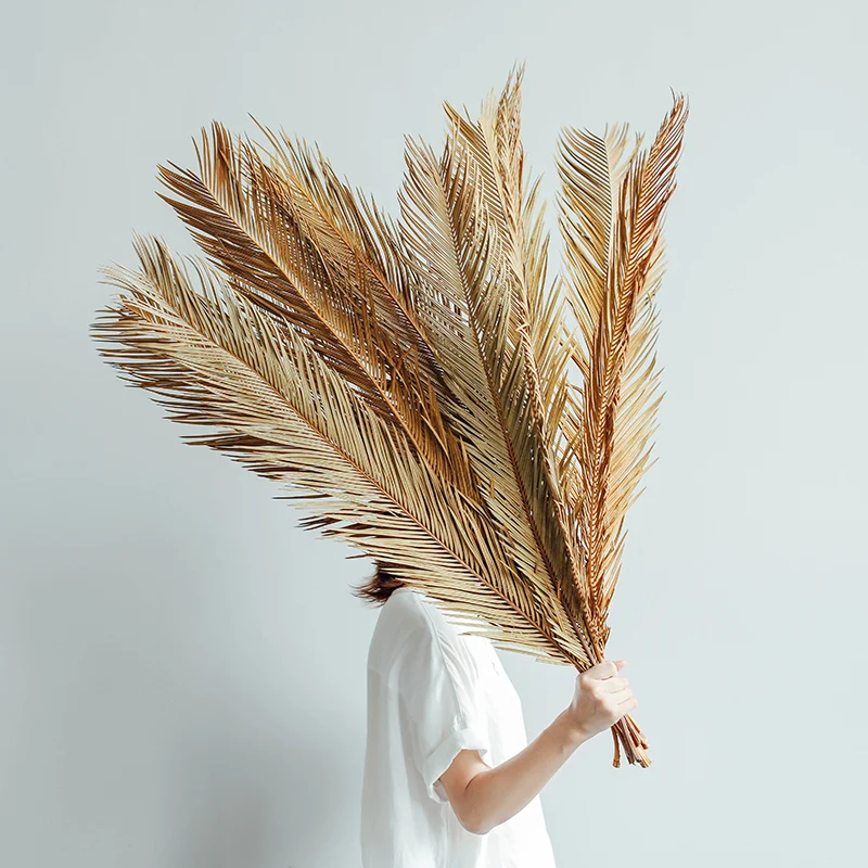 

Листья драцены Fruticose, зеленая ветка Cycas, листья сухих пальмовых вееров, украшение для стола на вечеринку, свадьбу