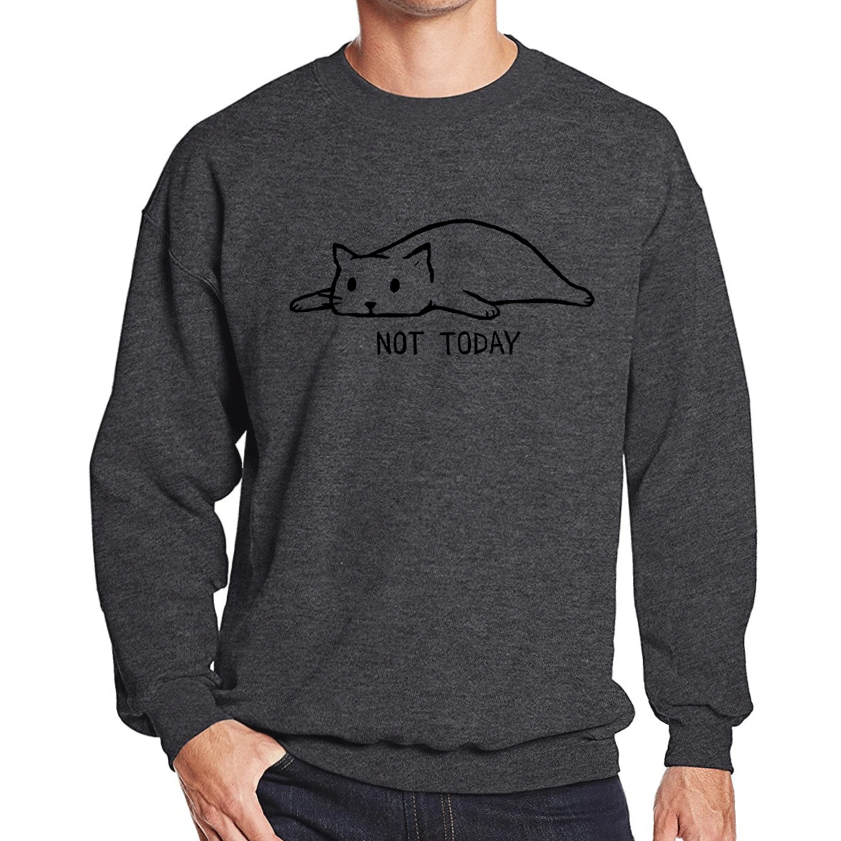 dark gray 1 Осенняя мода не сегодня мужские толстовки ленивый кот мужские свитшоты спортивная одежда пуловер мужской хип-хоп толстовка забавная Толстовка - Цвет: dark gray 1