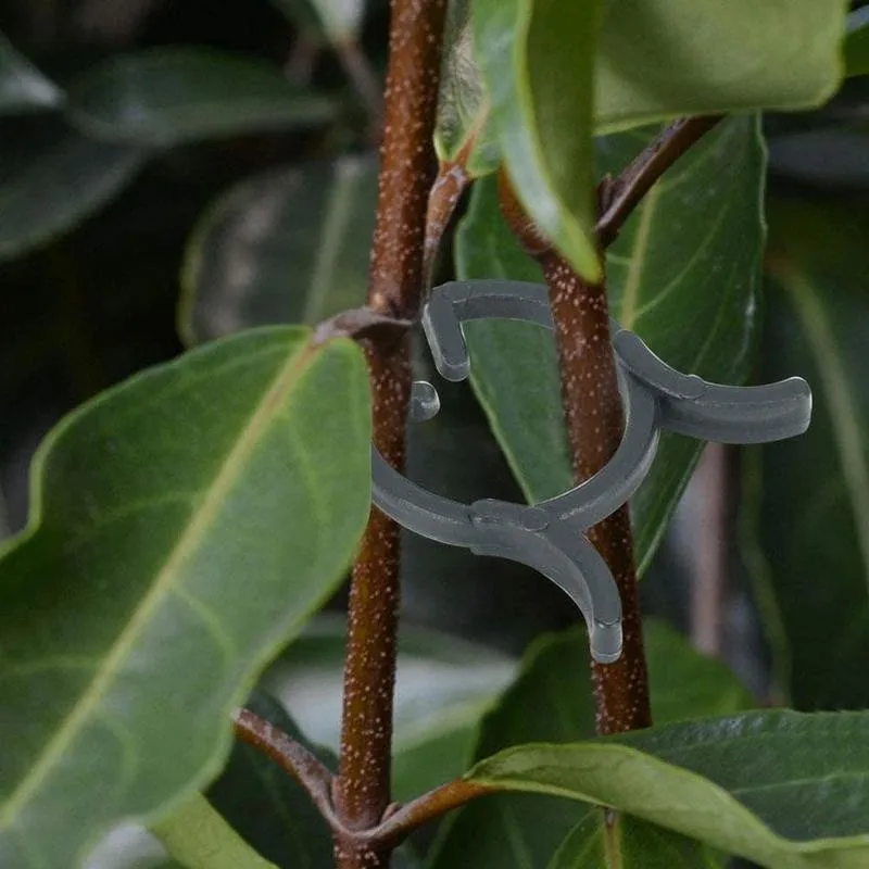 

100pcs Gardening Plant Fixing Clip Plant Clips Vegetable Vine Plant Grafting Support Stems Plant Clip For Holding Clips O6F7