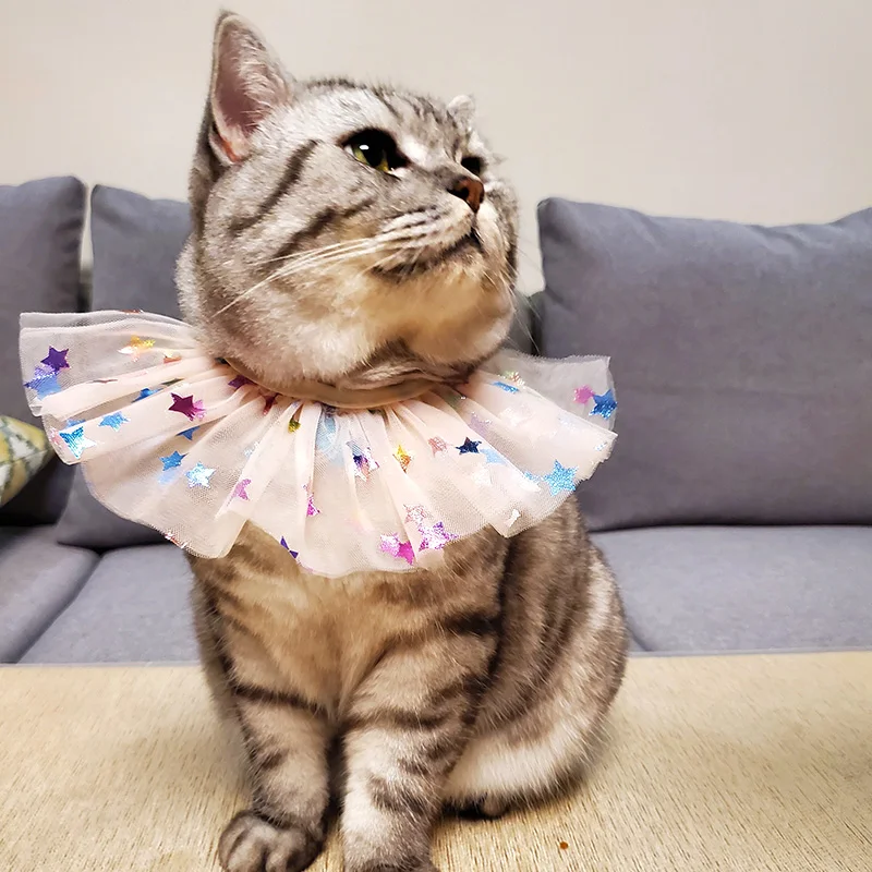 PETCIRCLE одежда с принтом в виде собак красочная пряжа нагрудник подходит маленькая