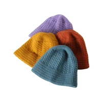 autumn winter hats for girls beanies knitted womens hat warm designer luxury cap trendy knitted casual caps fashion melon skin