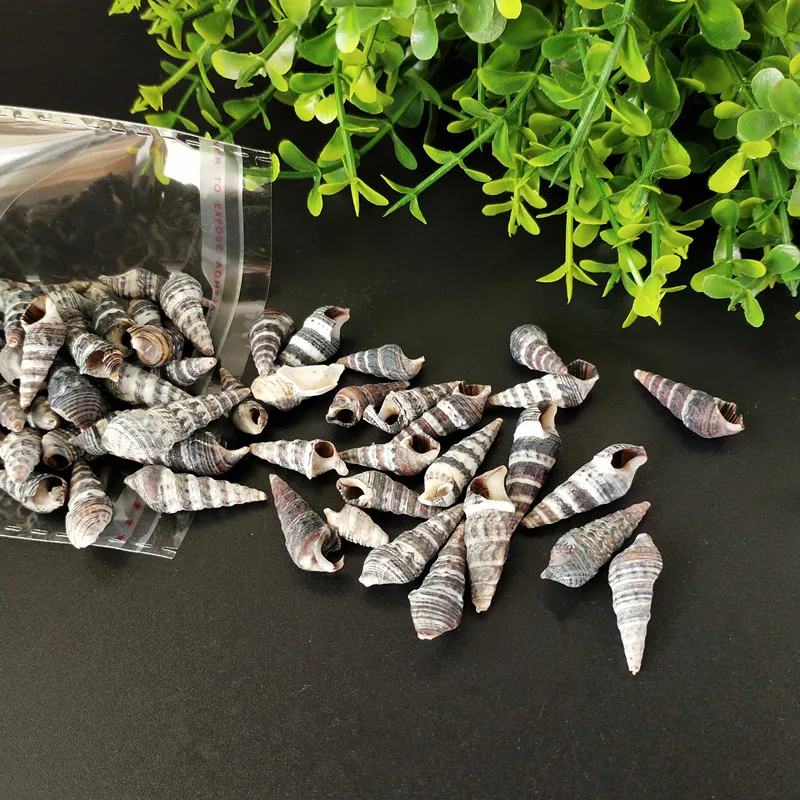 100 шт. натуральные раковины черные спиральные для зачистки в аквариуме
