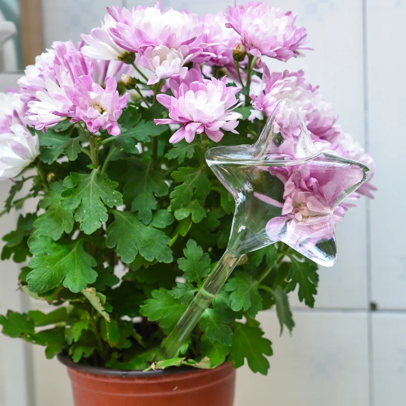 Автопоилка стеклянная для растений 5 типов автоматического полива | Дом и сад