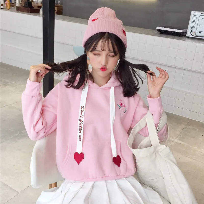 Новое поступление Зима корейский стиль Harajuku ветровка Свободная Студенческая