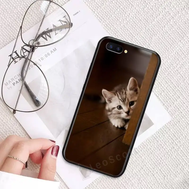 

Cute animal cat Phone Case For OPPO R9 R11 R15 R17 RENO Realme S PLUS Normal 2z 3 5 C2 pro Soft silicone funda cover