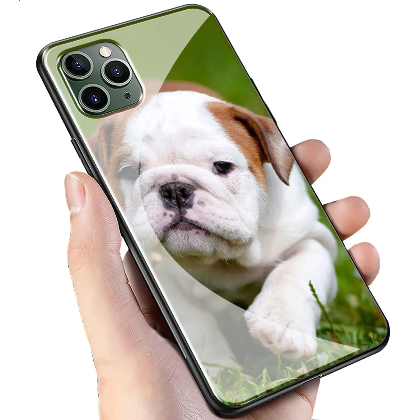 French Bulldog Dog Tempered Glass Phone Case for iPhone 11 Pro XR X XS Max 6 6S 7 8 Plus 5 5S SE Cover |