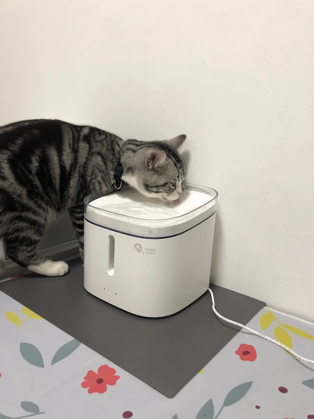 Поилка электрическая для домашних животных поилка фонтанчик с 4 фильтрами 2 л