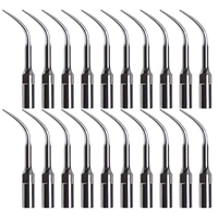 20pcs dentist scaler g4 tips tools fit ems and woodpecker for ultrasonic teeth whitening dental instrument