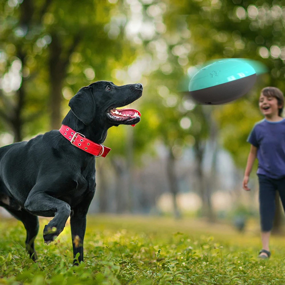 

Pet Dog Toys Intelligent Round Training Dog Sounder Outdoor Indoor Feeding Toys to Keep Dog Teeth Clean and Tidy for All Dogs