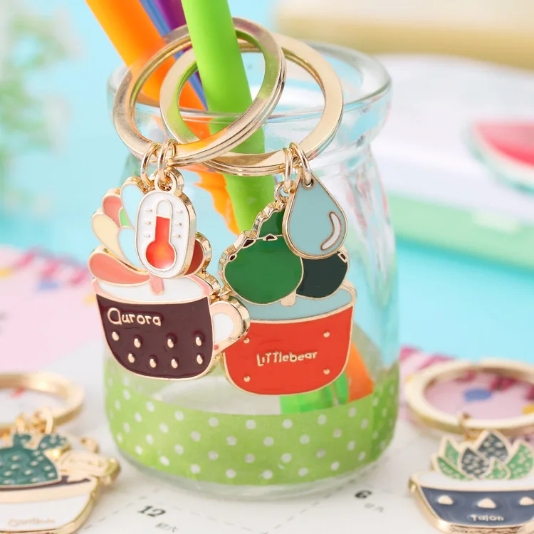 Есть четыре типа милых и суккулентных растений креативная гигантская Милая